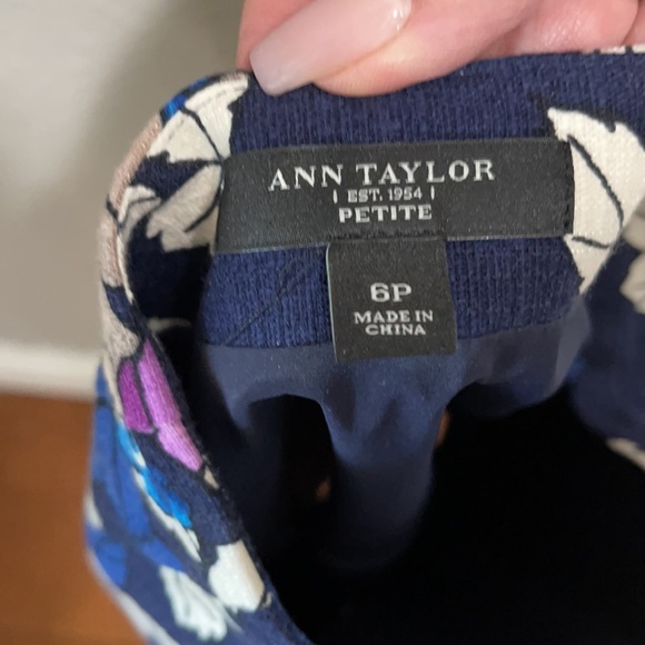 Ann Taylor Skirt, size 6 Petite - Picture 4 of 6